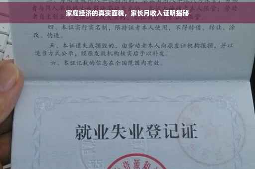 家庭经济的真实面貌，家长月收入证明揭秘