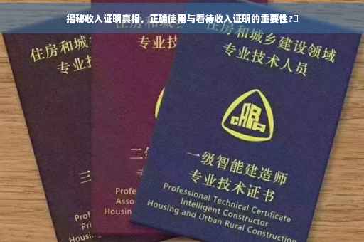 揭秘收入证明真相，正确使用与看待收入证明的重要性?✨