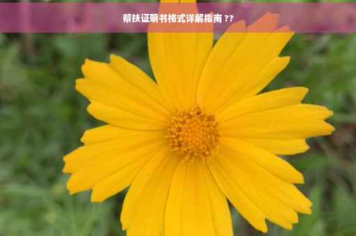 帮扶证明书格式详解指南 ??
