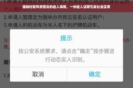揭秘村官购房背后的收入真相，一份收入证明引发社会深思