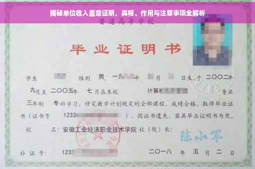 揭秘单位收入盖章证明，真相、作用与注意事项全解析