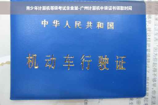 青少年计算机等级考试含金量-广州计算机中级证书领取时间