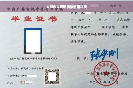 大额收入证明模板使用指南