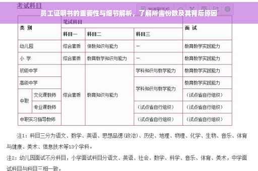 员工证明书的重要性与细节解析，了解所需份数及其背后原因