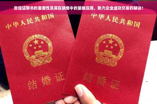 资信证明书的重要性及其在销售中的策略应用，助力企业成功交易的秘诀！
