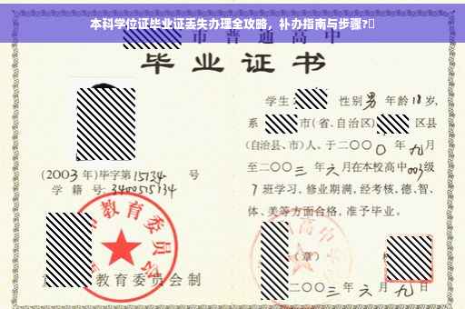 本科学位证毕业证丢失办理全攻略，补办指南与步骤?✨