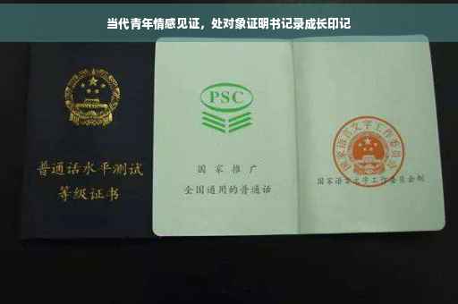当代青年情感见证，处对象证明书记录成长印记