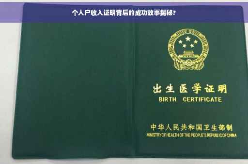 个人户收入证明背后的成功故事揭秘?