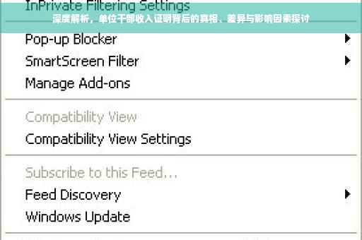 深度解析，单位干部收入证明背后的真相、差异与影响因素探讨