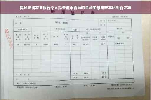 揭秘肥城农业银行个人抖音流水背后的金融生态与数字化创新之路