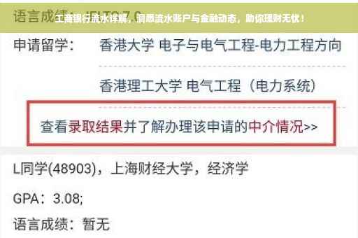 工商银行流水详解，洞悉流水账户与金融动态，助你理财无忧！