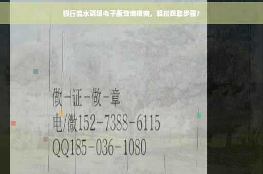 银行流水明细电子版查询指南，轻松获取步骤?