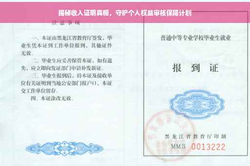 揭秘收入证明真相，守护个人权益审核保障计划