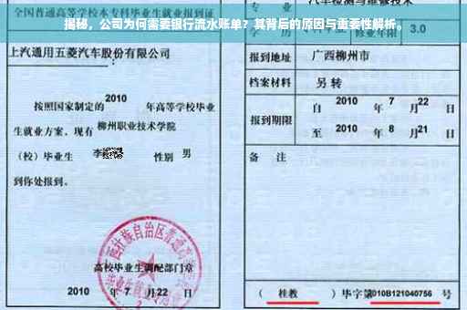 揭秘，公司为何需要银行流水账单？其背后的原因与重要性解析。