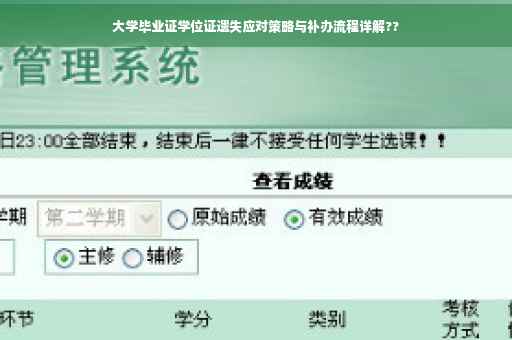 大学毕业证学位证遗失应对策略与补办流程详解??