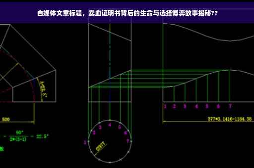 自媒体文章标题，卖血证明书背后的生命与选择博弈故事揭秘??