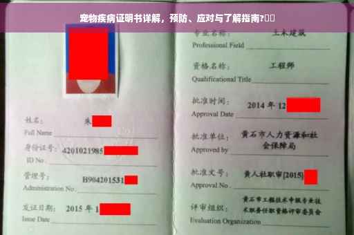 宠物疾病证明书详解，预防、应对与了解指南?⚡️
