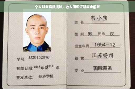 个人财务真相揭秘，收入明细证明表全解析