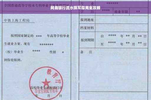 网商银行流水撰写指南全攻略