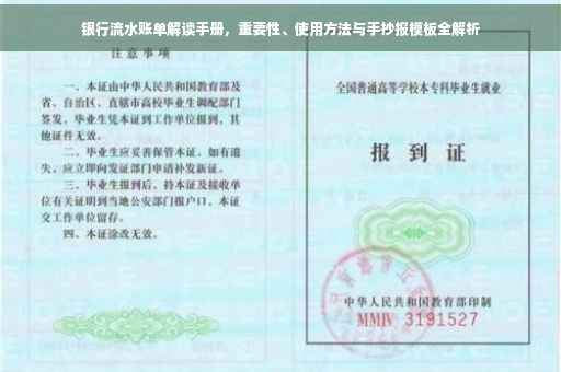 银行流水账单解读手册，重要性、使用方法与手抄报模板全解析