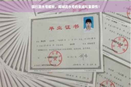 银行流水号解析，揭秘流水号的生成与重要性！