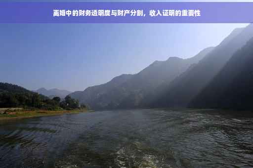 离婚中的财务透明度与财产分割，收入证明的重要性