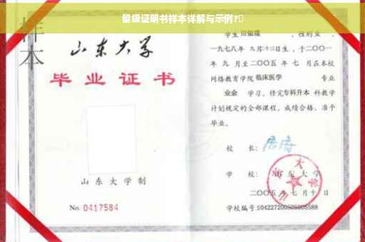 留级证明书样本详解与示例?⚡