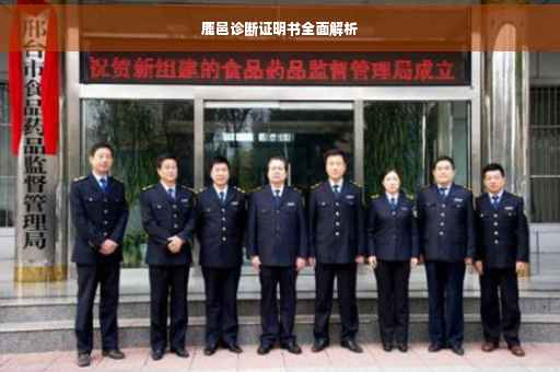 鹿邑诊断证明书全面解析