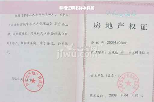 种植证明书样本详解