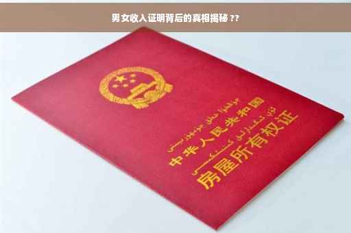 男女收入证明背后的真相揭秘 ??