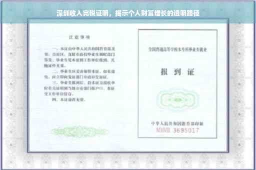 深圳收入完税证明，揭示个人财富增长的透明路径