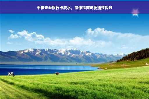手机查看银行卡流水，操作指南与便捷性探讨
