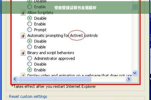 停放受损证明书全面解析