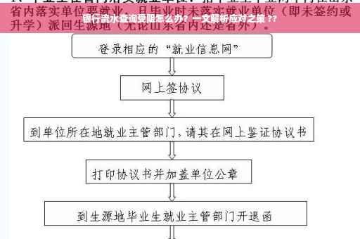 银行流水查询受阻怎么办？一文解析应对之策 ??