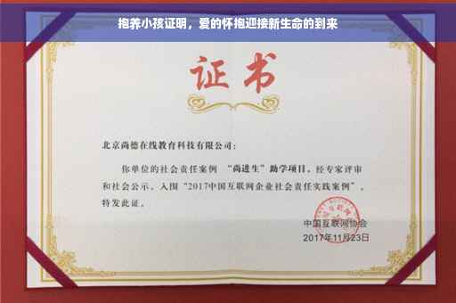 抱养小孩证明，爱的怀抱迎接新生命的到来