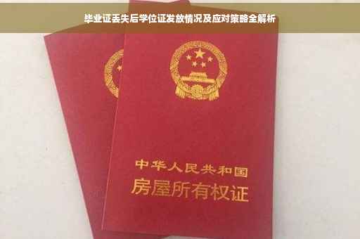 毕业证丢失后学位证发放情况及应对策略全解析