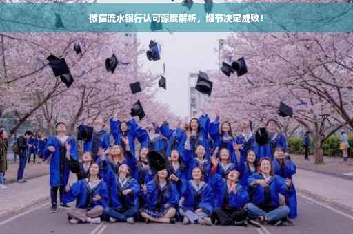 微信流水银行认可深度解析，细节决定成败！