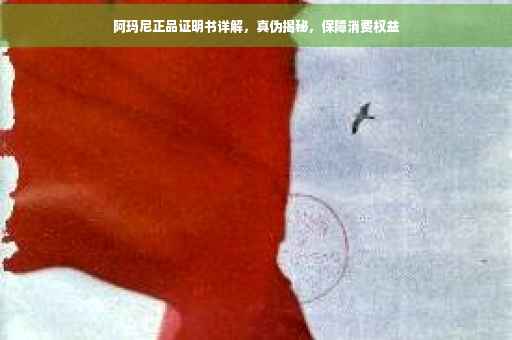 阿玛尼正品证明书详解，真伪揭秘，保障消费权益