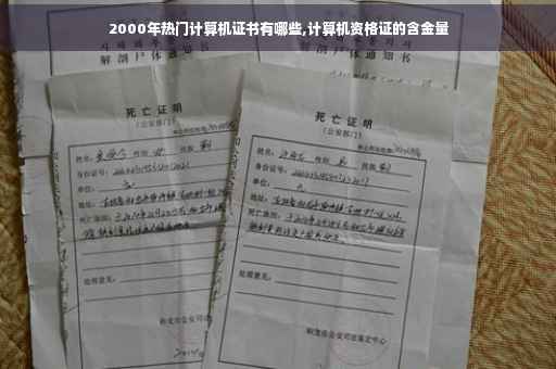 2000年热门计算机证书有哪些,计算机资格证的含金量