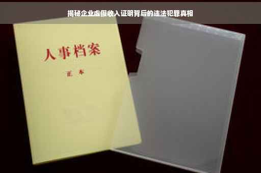 揭秘企业虚假收入证明背后的违法犯罪真相