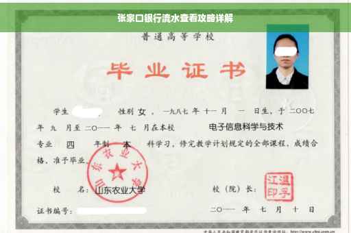 张家口银行流水查看攻略详解