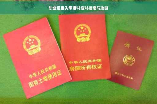 毕业证丢失承诺书应对指南与攻略