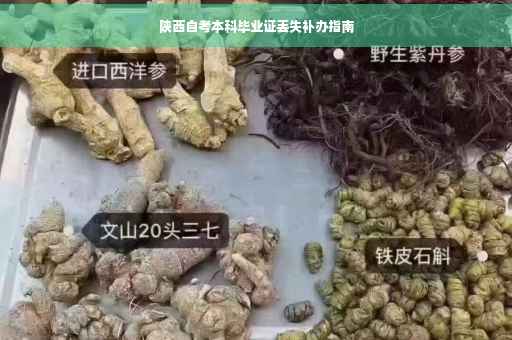 陕西自考本科毕业证丢失补办指南 陕西自考本科毕业证丢失补办指南