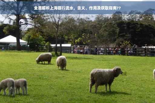 全面解析上海银行流水，含义、作用及获取指南??