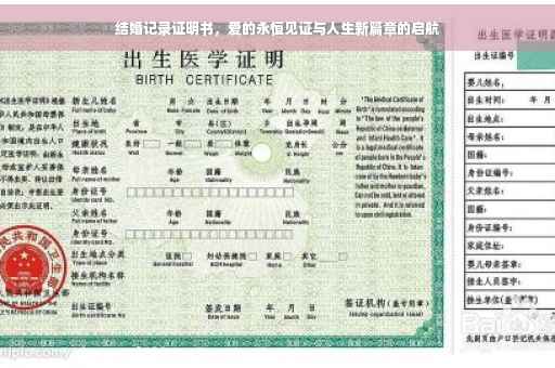 结婚记录证明书，爱的永恒见证与人生新篇章的启航