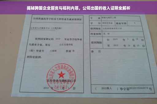 揭秘跨国企业薪资与福利内幕，公司出国的收入证明全解析