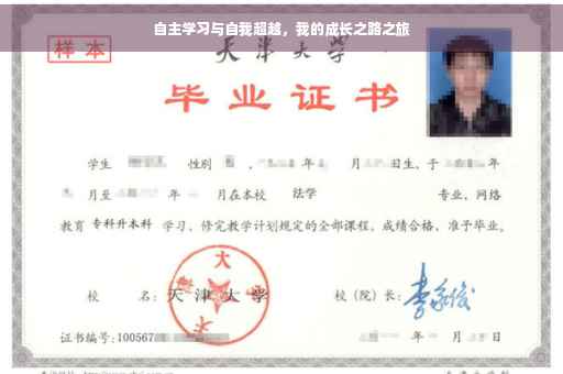 自主学习与自我超越，我的成长之路之旅