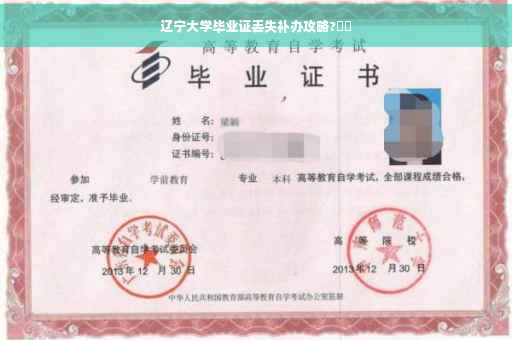 辽宁大学毕业证丢失补办攻略?⚡️