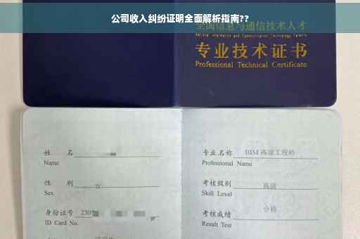 公司收入纠纷证明全面解析指南??