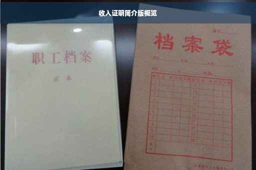 收入证明简介版概览